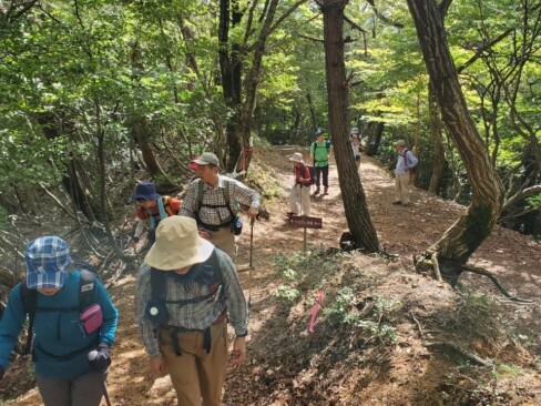 いいお天気で、木漏れ日の中を気持ちよく歩けます。