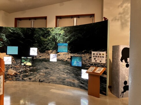 展示館内部の様子