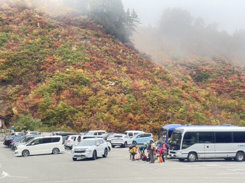 下山した三方岩駐車場近辺の紅葉した樹々