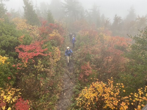 幻想的な紅葉風景の中の登山道