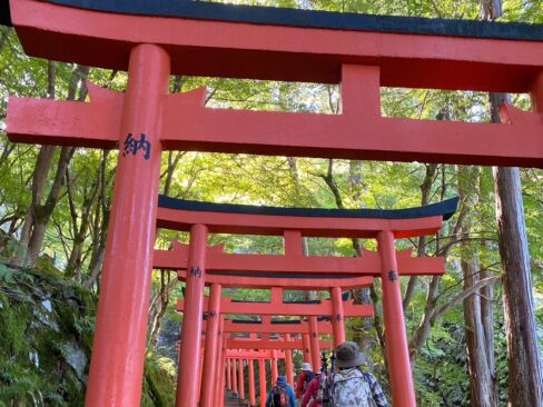 稲荷神社の赤い鳥居をくぐって進みます。