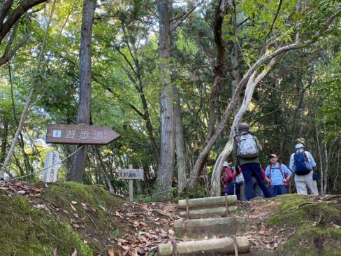 急登が終わって、ちょっとひといき。