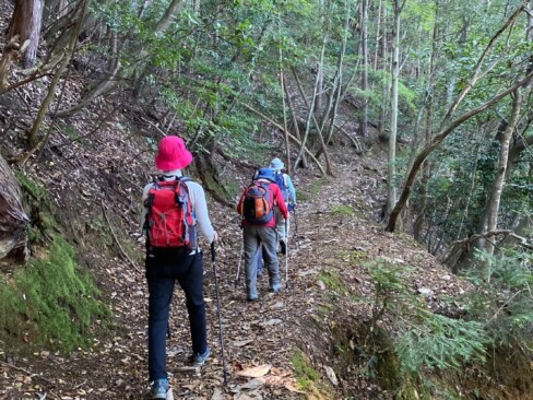 ここからはなだらかに登っていきます。