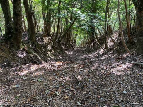 大きな堀切です。