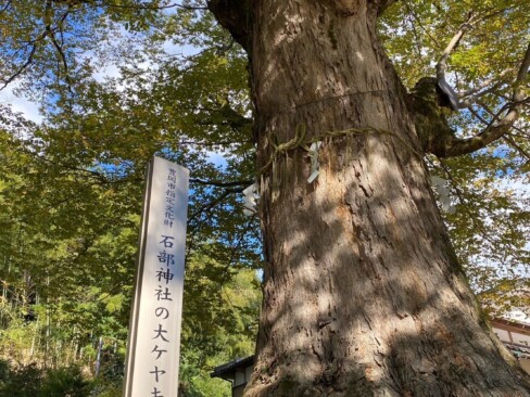 豊岡市指定文化財なのですね。