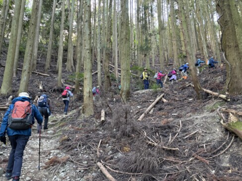 いきなり急登です。しかも、石がゴロゴロ。
