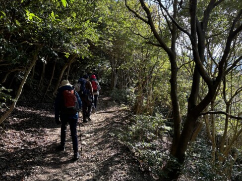 なだらかで歩きやすくなってきました。