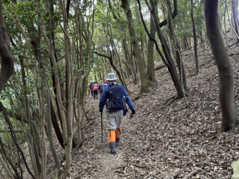 表参道をどんどん下っていきます。