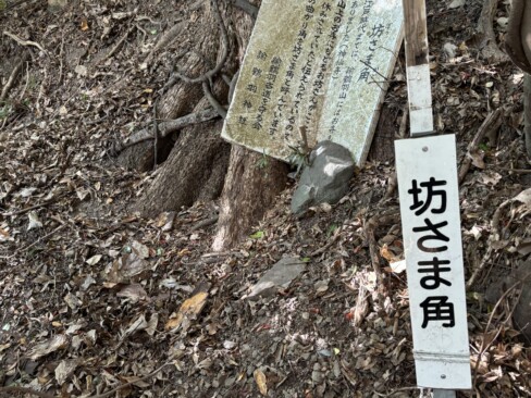 「坊さま角」・・お坊様が休まれた曲がり角。