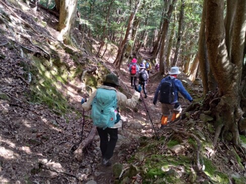 表参道は、石がゴロゴロしています。歩く人も少ないのかな??