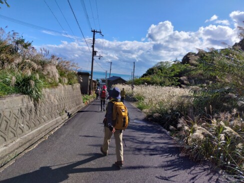 ススキが穂を光らせて迎えてくれました。海はもうすぐ。