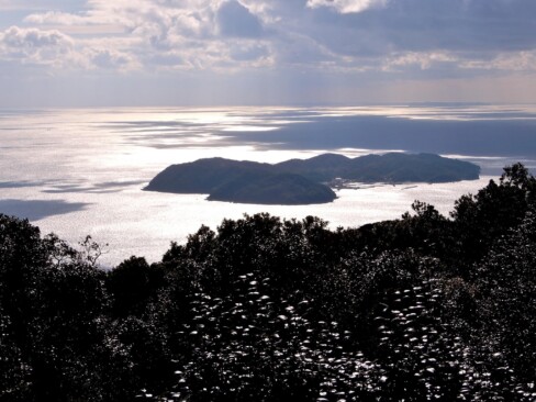 沼島が見えてきました。神々が作り出した最初の島「おのころ島」の伝説が残っています。