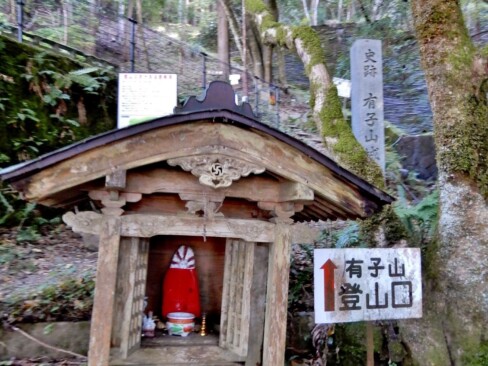 ここから、よく整備された登山道を歩きます。