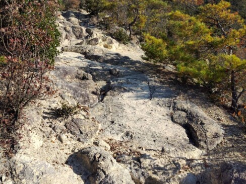 岩がゴツゴツした登山道ですが、危険個所はありません。