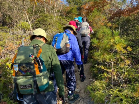 青空に向かって登ります。いい気持ちだ(^O^)/
