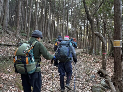 杉林の中をゆっくりと歩いていきます。