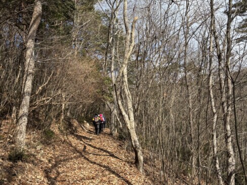 落ち葉を踏み踏み、明るい日差しの中を歩きます。なだらかでいい感じ。