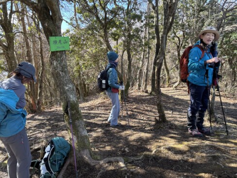 横尾山到着。眺望はよくないですが、木漏れ日がいい感じ。
