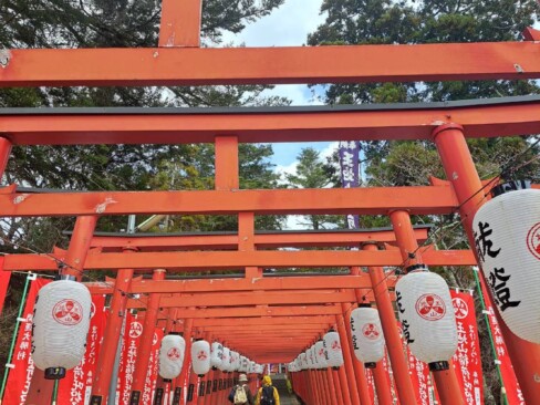 王地山まけきらい稲荷への朱色の鳥居