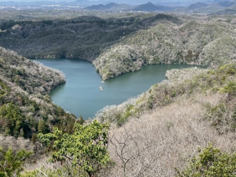 依然は、「ハート形」って言われていたけど、最近は「天使の羽」?