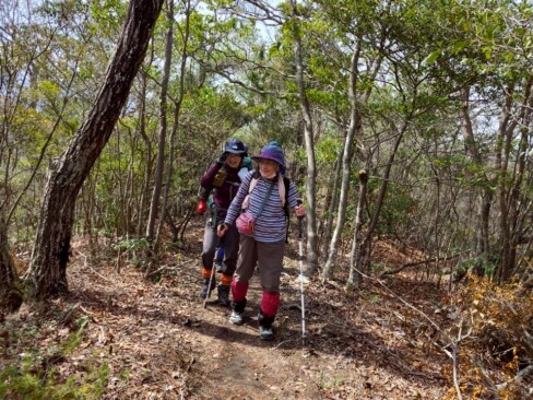 穏やかな光の中を気持ちよく歩きます。