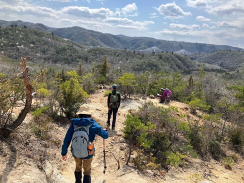 タムシバがいっぱい。向こうに見えるのは、新名神。