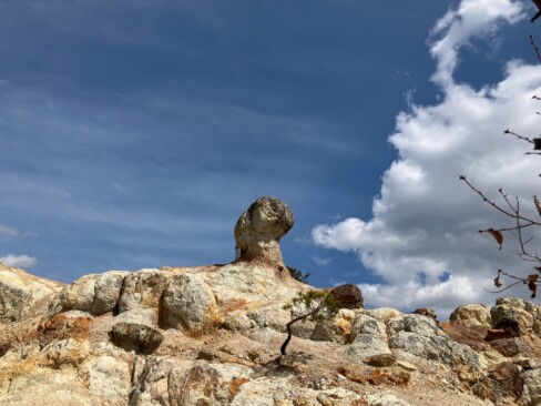 風に立つライオン・・・