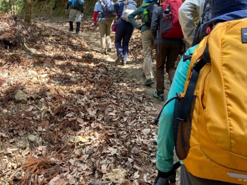 リーダーを先頭に、一列に並んで行儀よく・・・