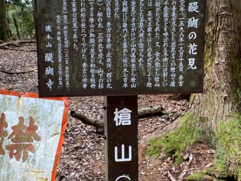 秀吉が晩年に催した「醍醐の花見」は有名ですね。それにしても、700本の桜とは、すごいの一言!!