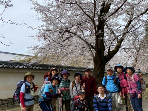 満開の桜の下で。いい時に来れました(*^^*)