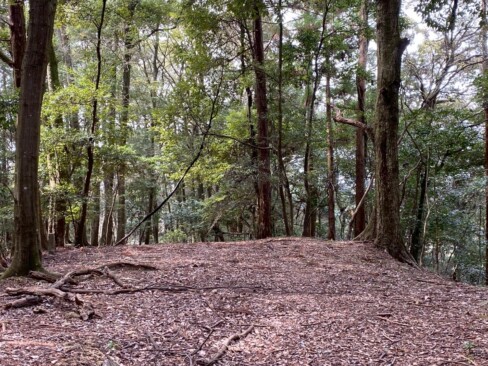千畳敷・・・花見御殿が建てられていたそうな。