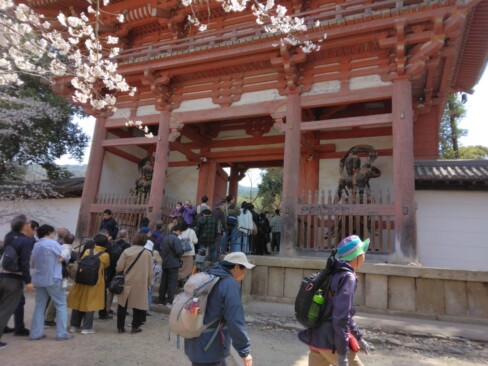 西大門(仁王門)を右に曲がり、塀に沿って山手に進みます。