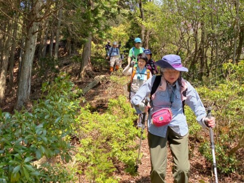新芽がかわいい(>_<)天気も良くて、最高の登山日和です。