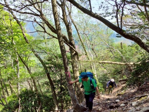 丹波のお山は、激登り激下りが名物。新緑に励まされて、頑張ろう!!
