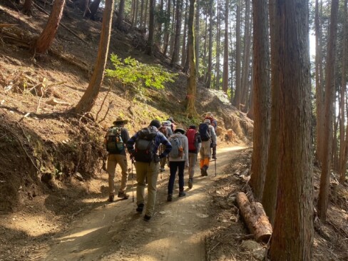 最初は、作業道のようなところを歩きます。