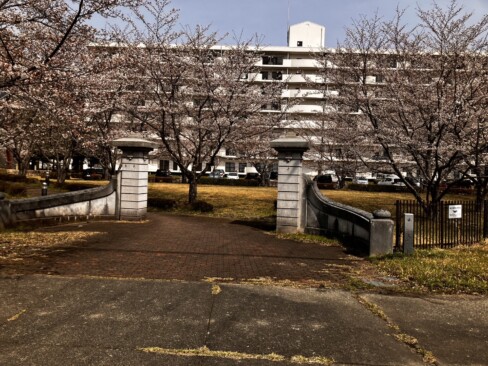 旧舞鶴水交社正門。奥は現在の自衛隊宿舎