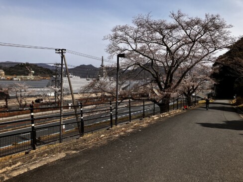 つつじヶ丘宿舎から自衛隊桟橋方面を望む