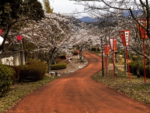 頂上広場から歩いて来た道を望む