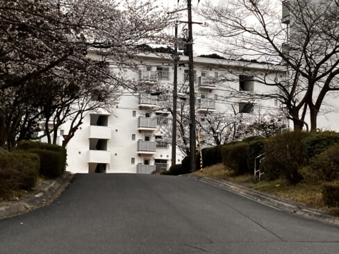 自衛隊桟橋からほど近いところにある自衛隊つつじヶ丘宿舎