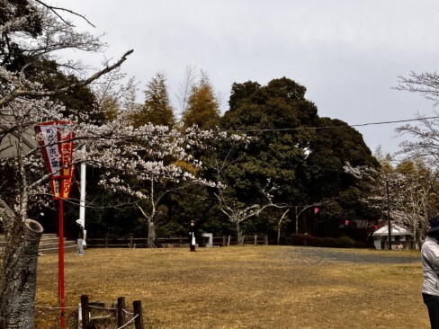 共楽公園の頂上広場