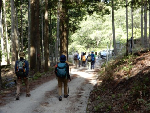 獣除けのフェンスの向こうが駐車場です。