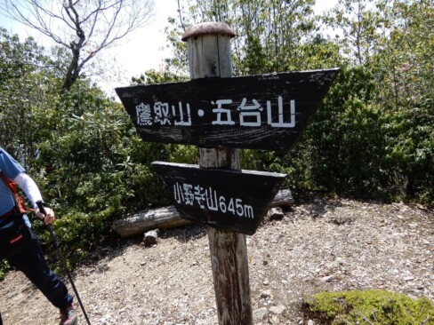 五台山から3分ほどで、本日2座目「小野寺山」に到着。