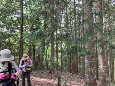 三郡山山頂は樹木に囲まれ、ほとんど展望は効きませんでした。