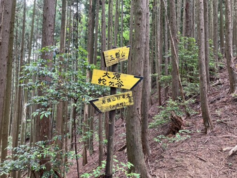 歩いて来た山道から南東方面に少し進むと三郡山山頂に至ります。