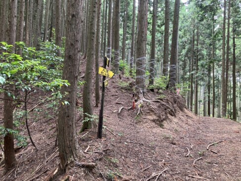 大原峠方面へさらに山道は続いています。