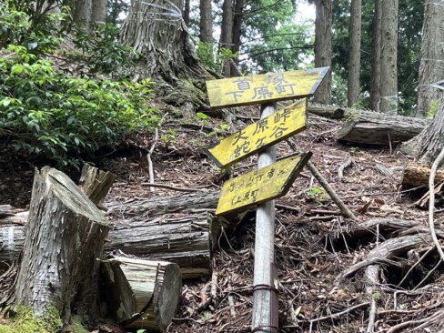 途中、数ヶ所、分岐がありました。