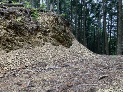 岩根山行者堂を過ぎて、さらに古道の雰囲気が増していきました。