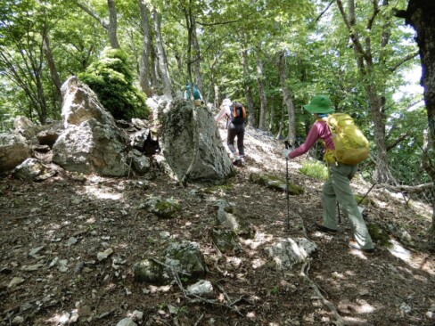 尾根まで登ってくると、大きな岩が出てきました。