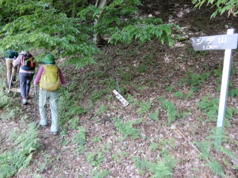 みと広場で休憩したら、新登山道で山頂を目指します。あと1km(>_<)