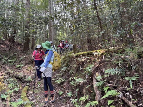 苔が生えて滑りやすくなっているので、慎重に!